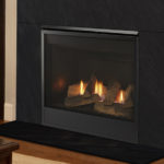 Meridian Series Direct Vent Gas Fireplace